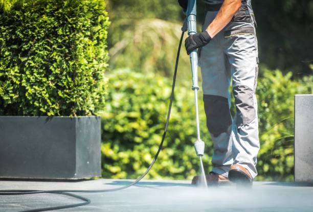 Best Dumpster Area Cleaning  in Forestville, CA