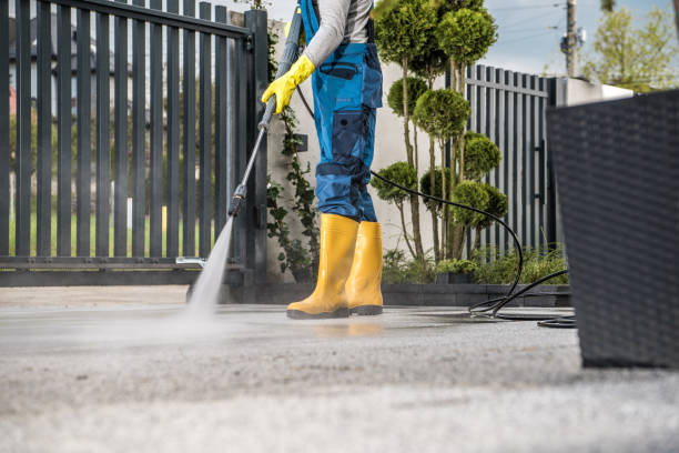 Best Driveway Pressure Washing  in Forestville, CA